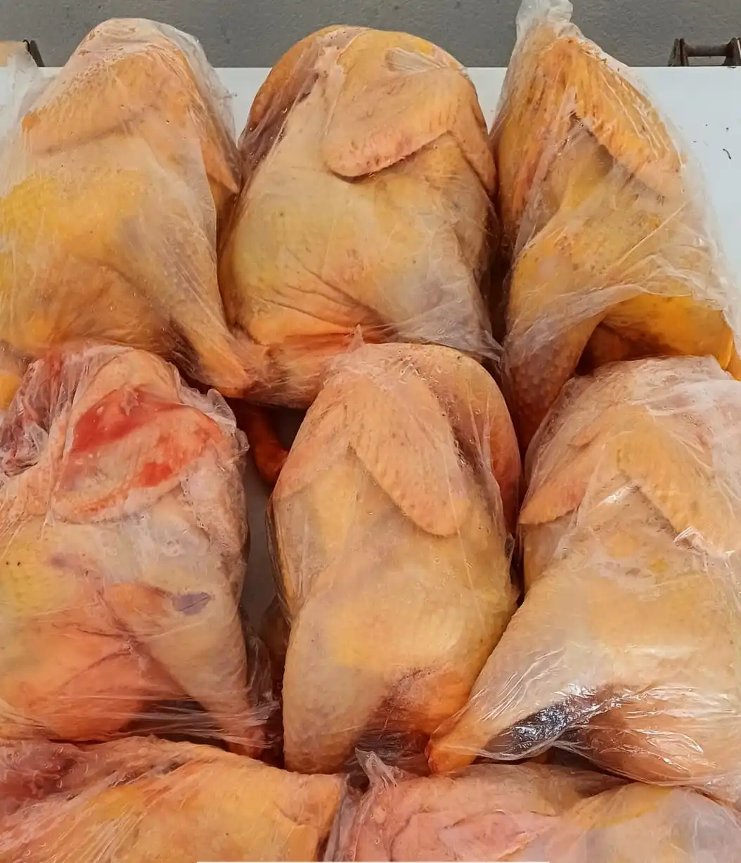 Frango caipira criado solto