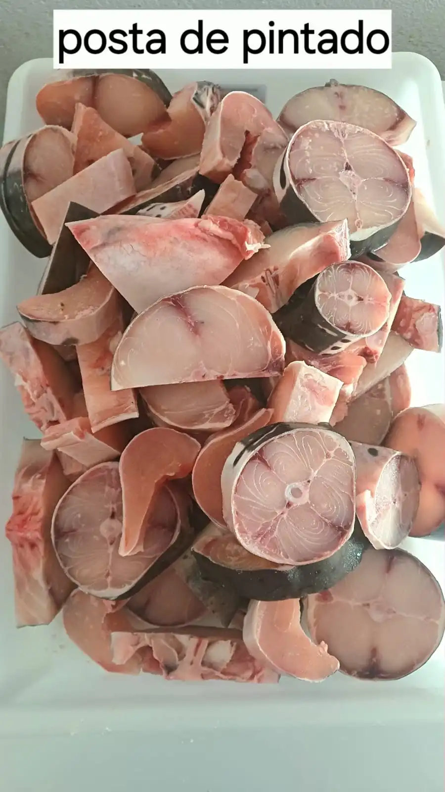 Filé de Pintado